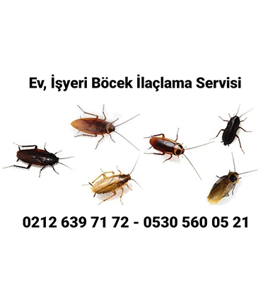 Böcek Pest Kontrol