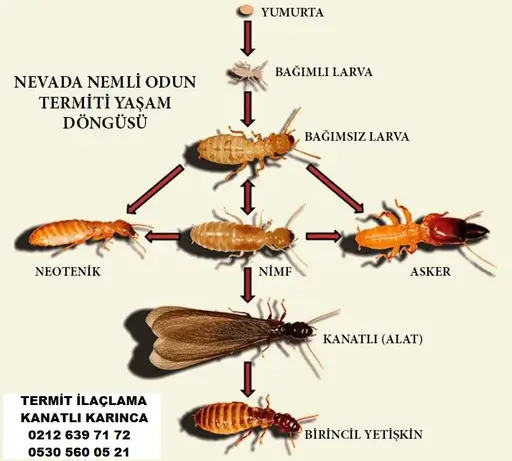 termit-ilaclama